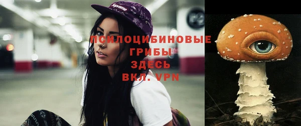 стафф Лихославль