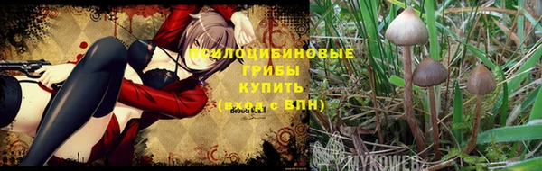 синтетический гашиш Липки